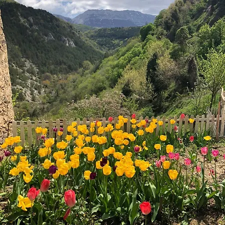 Villa Casa Rustica *