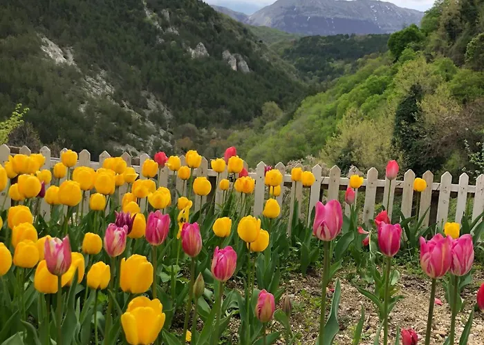 Casa Rustica Βίλα