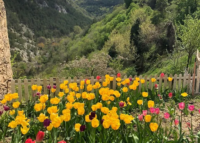 Βίλα Casa Rustica *